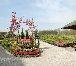 einzigartige Kollektion seltener Zierpflanzen