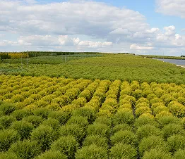 moderne Maschinen bei der Pflanzenpflege